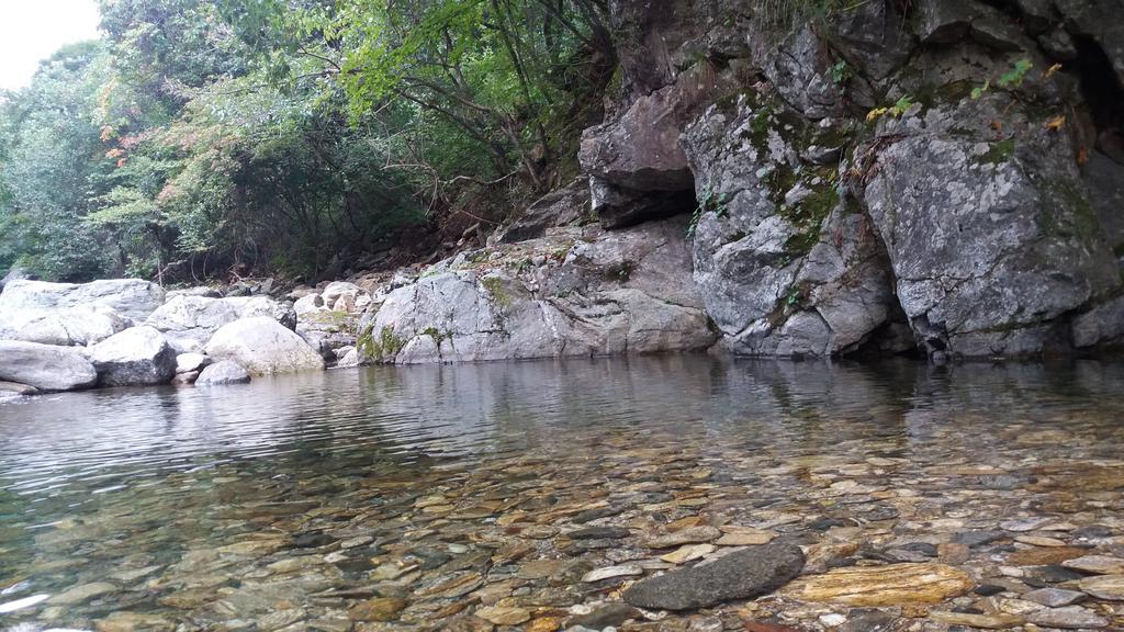 Charm Pension Gapyeong Dış mekan fotoğraf